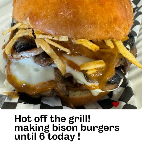 Bison Burgers